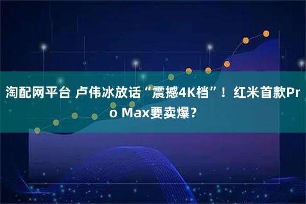 淘配网平台 卢伟冰放话“震撼4K档”！红米首款Pro Max要卖爆？