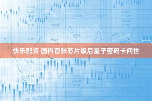快乐配资 国内首张芯片级后量子密码卡问世