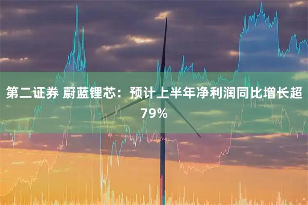 第二证券 蔚蓝锂芯：预计上半年净利润同比增长超79%